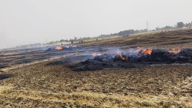 हरदोई : आग से 100 एकड़ से ज्यादा गेहूं की फसल खाक