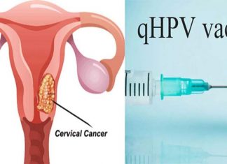 cervical cancer vaccine: सर्वाइकल कैंसर (Cervical Cancer) के लिए लॉन्च हुई पहली स्वदेशी वैक्सीन
