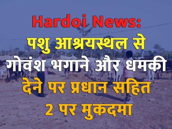Hardoi News: पशु आश्रयस्थल से गोवंश भगाने और धमकी देने पर प्रधान सहित 2 पर मुकदमा