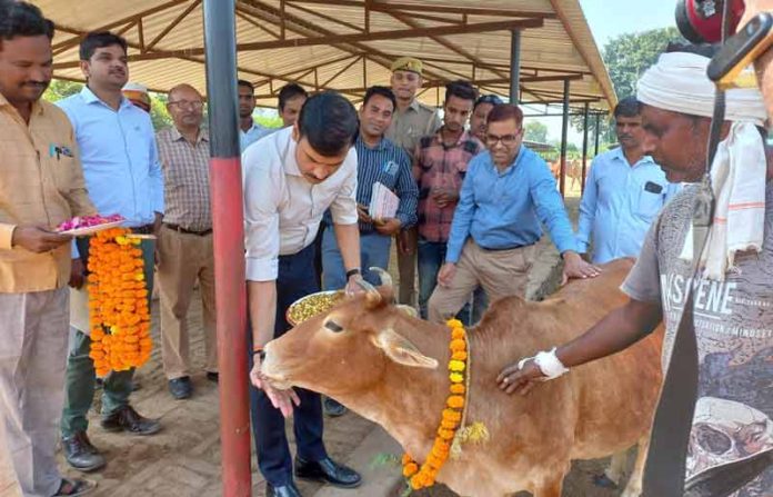 जिलाधिकारी