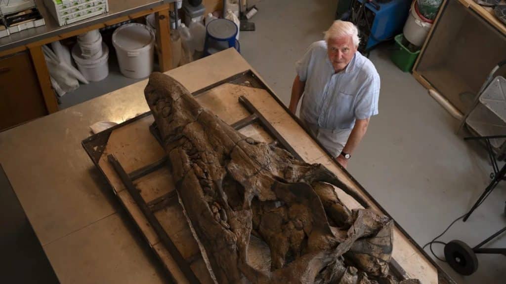 231208194345 02 bbc pliosaur sea monster