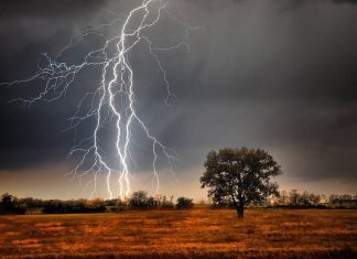 UP के इन जिलों में मूसलाधार बारिश, हरदोई समेत 42 जिलों में येलो अलर्ट जारी Weather