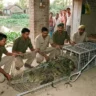 Hardoi News
